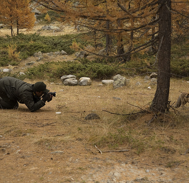 Parco Nazionale Gran Paradiso