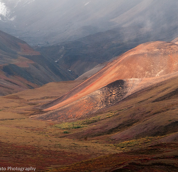 Polychrome Pass 3