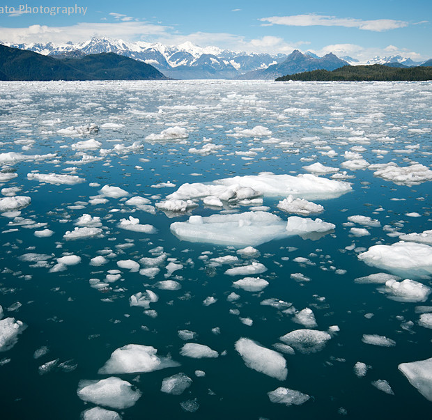 Prince William Sound