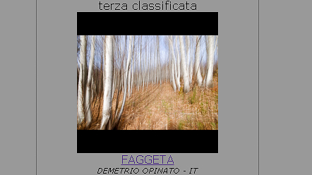 La Mia Faggeta “Terza Classificata” Al Campionato Italiano Di Fotografia Naturalistica 2013