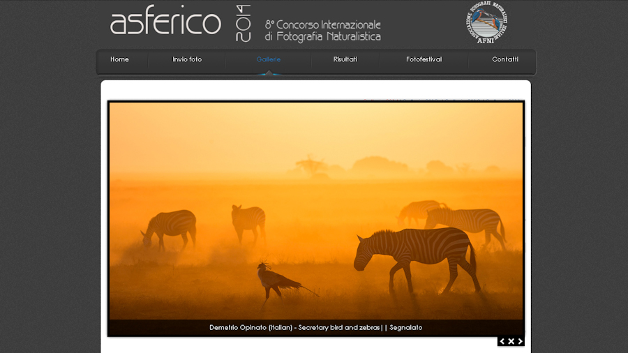 “Secretary Bird And Zebras” Segnalata All’Asferico Photoconte​st 2014