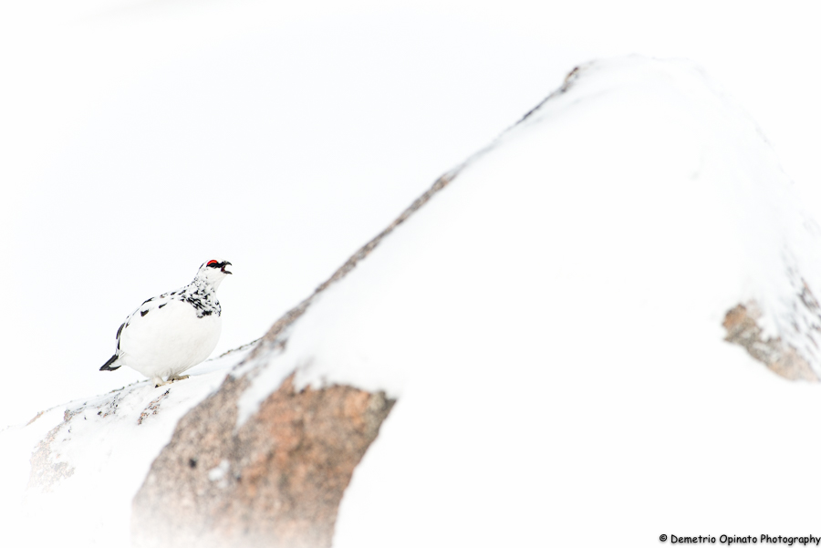 Scozia: Dove Le Colline Sono Montagne