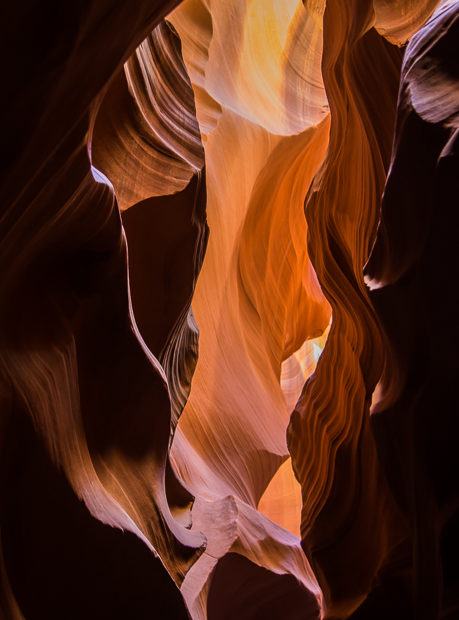 DSC 2286