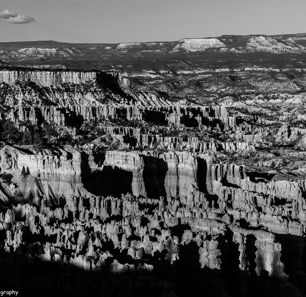 DSC 2446