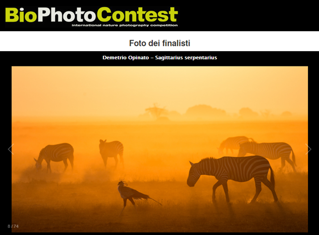 2018 September  – “Secretary Bird And Zebras” – Highlights BioPhotoContest 2018